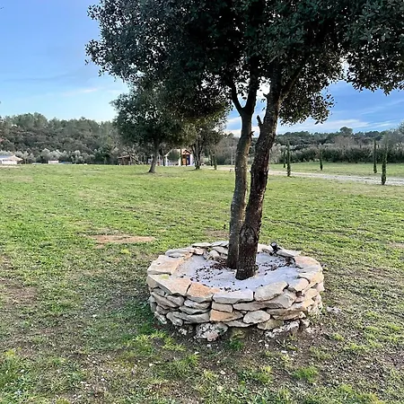 Campsite Terrain Avec Mobil-home